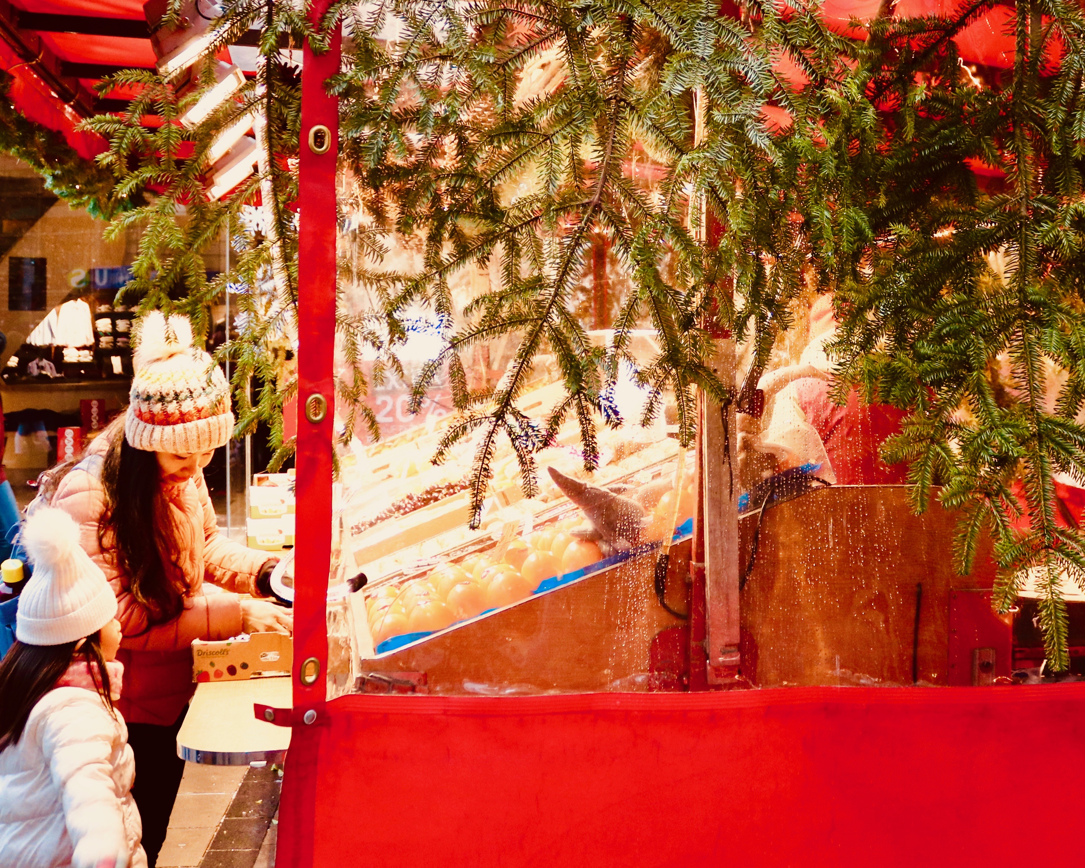 10748413440_IMG_0217